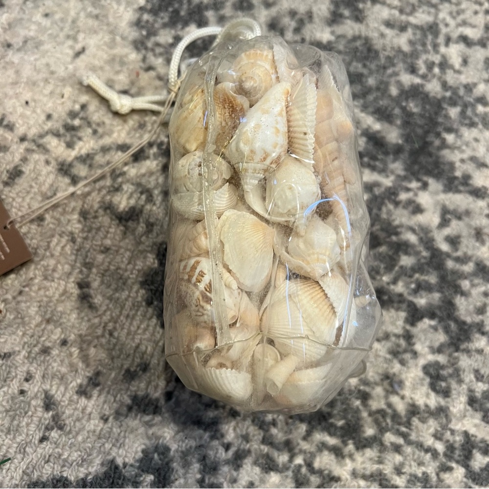 NWT PIER 1 Imports natural shell mix